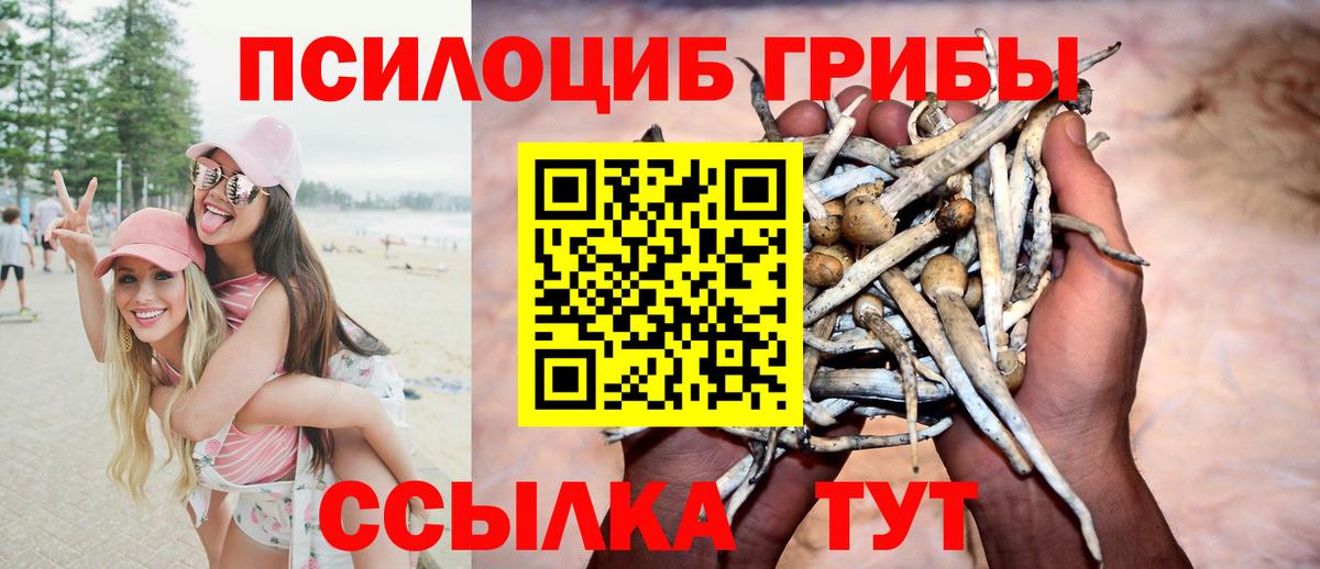 Псилоцибиновые грибы MAGIC MUSHROOMS Братск
