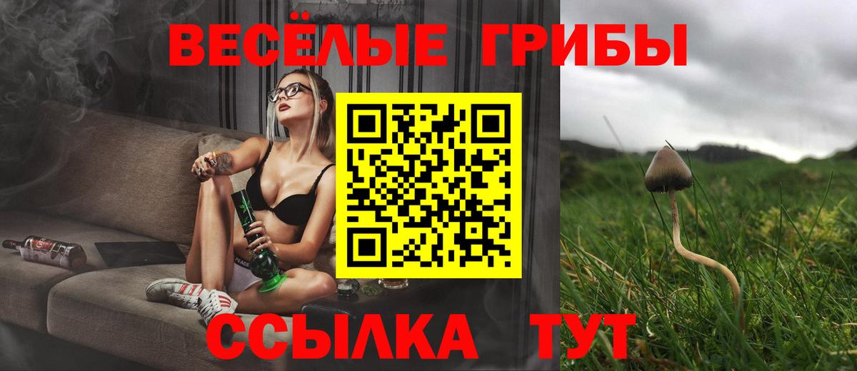 Галлюциногенные грибы мухоморы  Вход с VPN  Братск 